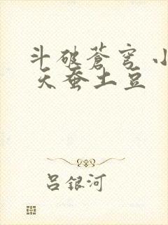 斗破苍穹 小说 天蚕土豆