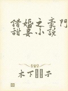 错婚之豪门第一甜妻小说