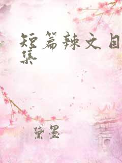 短篇辣文目录合集