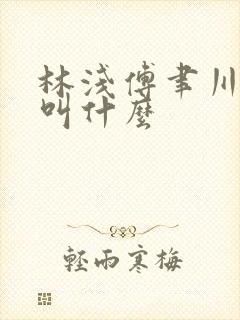 林浅傅聿川短剧叫什么