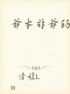 爷本非爷的小说