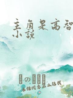 主角是高智商的小说