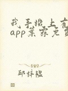 我手机上有禁忌app叶霖免费阅读