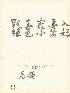 战王宠妻入骨:绝色小医妃