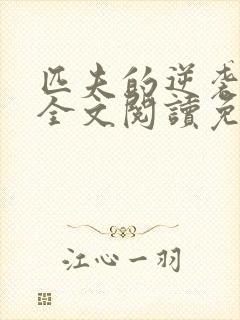 匹夫的逆袭小说全文阅读免费