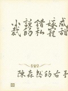 小说错嫁成婚总裁的私宠甜妻