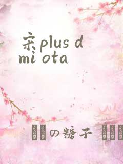 宋plus dmi ota