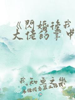 《闪婚后我成了大佬的掌中之物