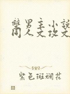 双男主小说cp同人文攻文