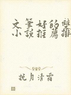 文笔好的双男主小说推荐排行榜