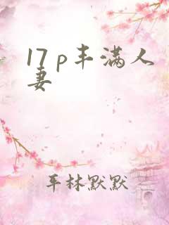 17 p丰满人妻