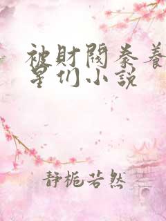 被财阀豢养的明星们小说