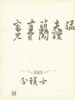 家有萌夫猛如虎免费阅读