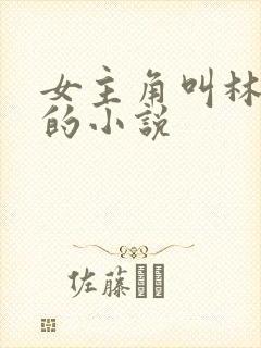 女主角叫林知谣的小说