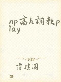 np高h调教play np高h调教play
