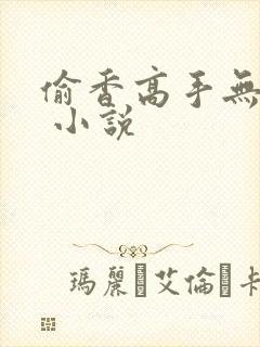 偷香高手无删减 小说