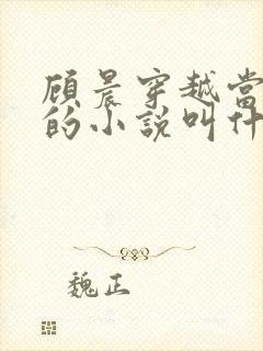 顾晨穿越当律师的小说叫什么