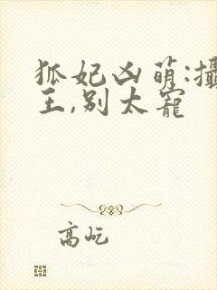 狐妃凶萌:摄政王,别太宠