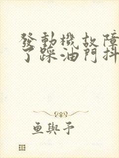 发动机故障灯亮了踩油门抖动