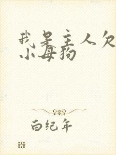 我是主人欠操的小母狗