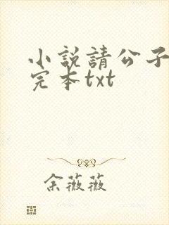 小说请公子斩妖完本txt