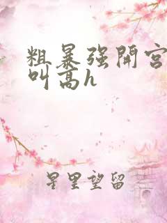 粗暴强开宫口哭叫高h