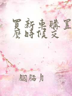 买新车购置税什么时候交
