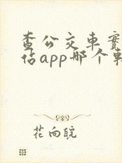查公交车实时到站app哪个软件好 查公交车实时到站app哪个软件好