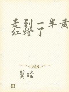 走到一半黄灯变红灯了