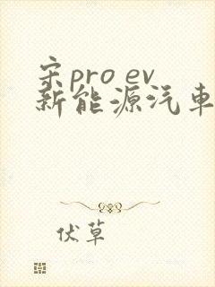 宋pro ev新能源汽车
