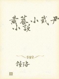 黄蓉小武尹志平 小说