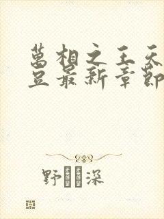 万相之王天蚕土豆最新章节无弹窗