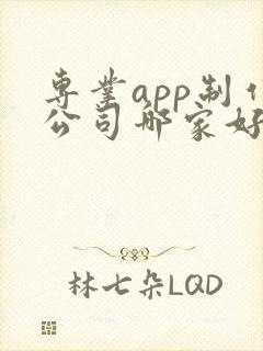 专业app制作公司哪家好 专业app制作公司哪家好