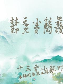 林天小说最新章节免费阅读全文