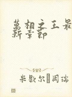 万相之王最快更新章节