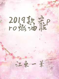 2019款宋pro燃油版 2019款宋pro燃油版