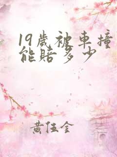 19岁被车撞死能赔多少