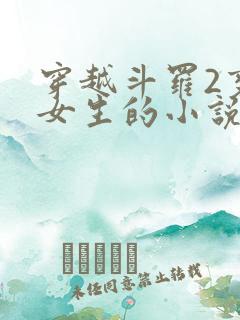 穿越斗罗2变成女生的小说