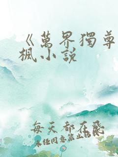 《万界独尊》林枫小说