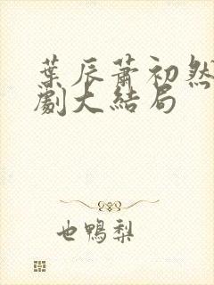 叶辰萧初然连续剧大结局