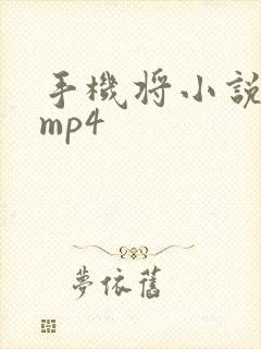 手机将小说导入mp4