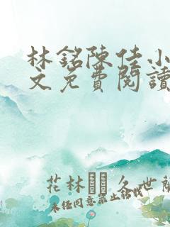 林铭陈佳小说全文免费阅读最新章节