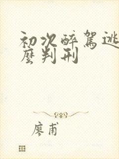 初次醉驾逃逸怎么判刑