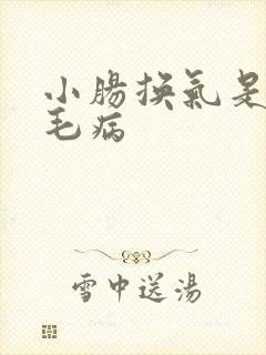 小肠换气是什么毛病
