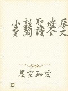 小说圣墟辰东免费阅读全文无窗口