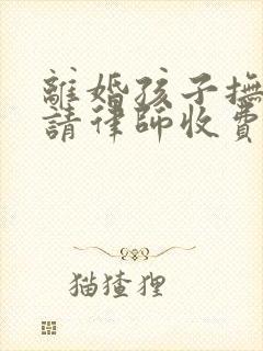 离婚孩子抚养权请律师收费标准