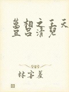 万相之王天蚕土豆吕清儿 万相之王天蚕土豆吕清儿