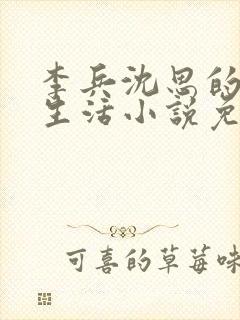 李兵沈思的快乐生活小说免费阅读