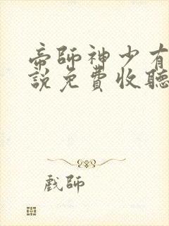 帝师神少有声小说免费收听