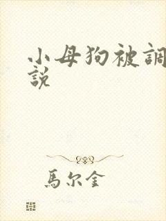 小母狗被调教小说